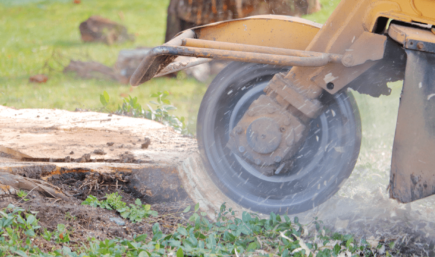 Stump Grinding